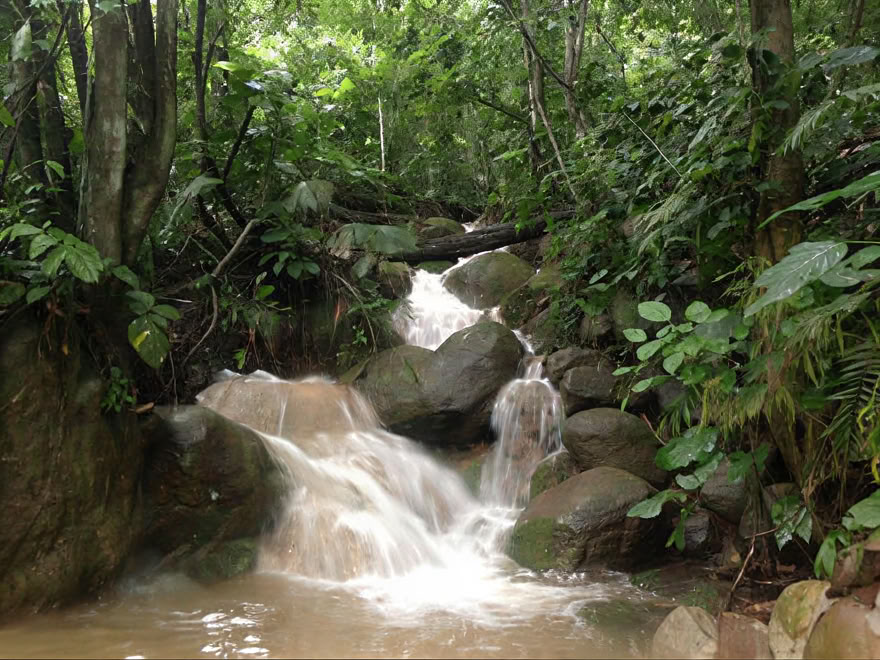 Ayahuasca Weekend Retreat