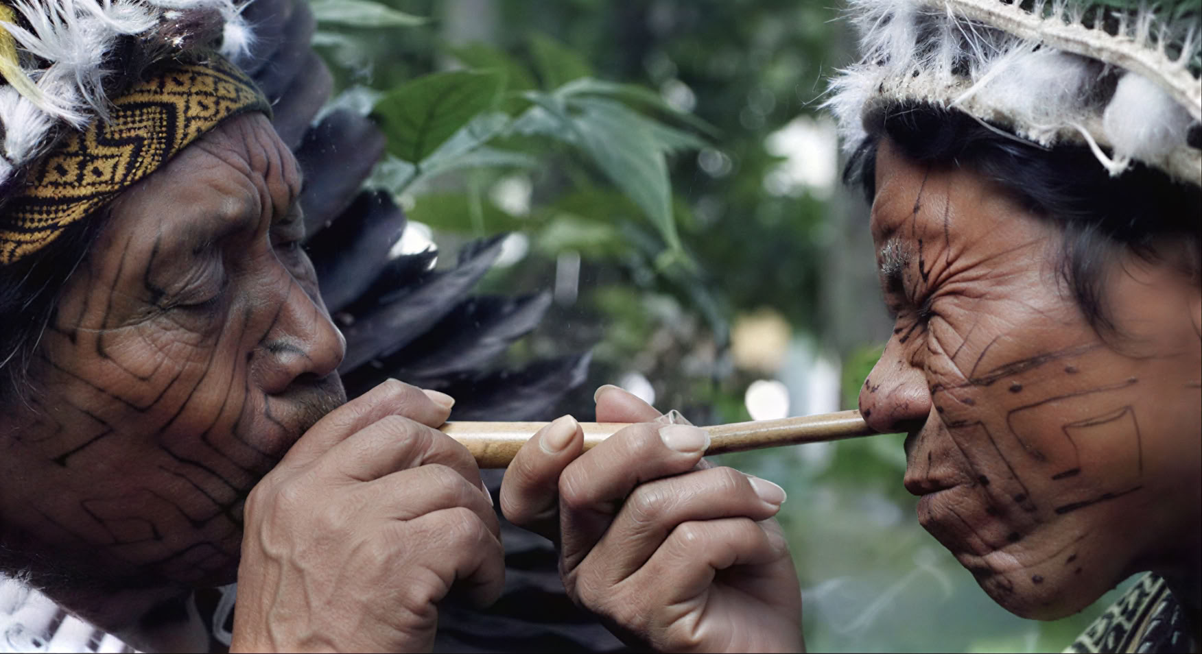 The Sacred Series · 7 Days of Ceremony