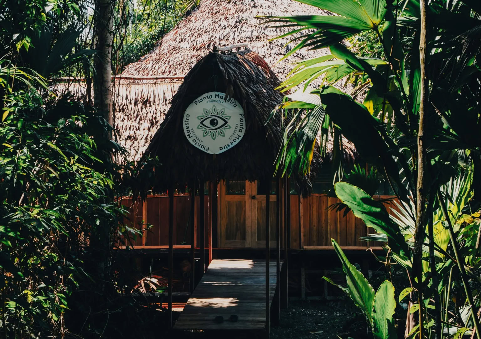 7-Day Ayahuasca Initiation