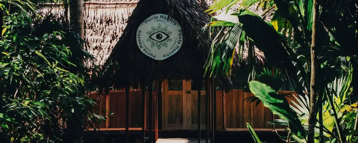7-Day Ayahuasca Initiation