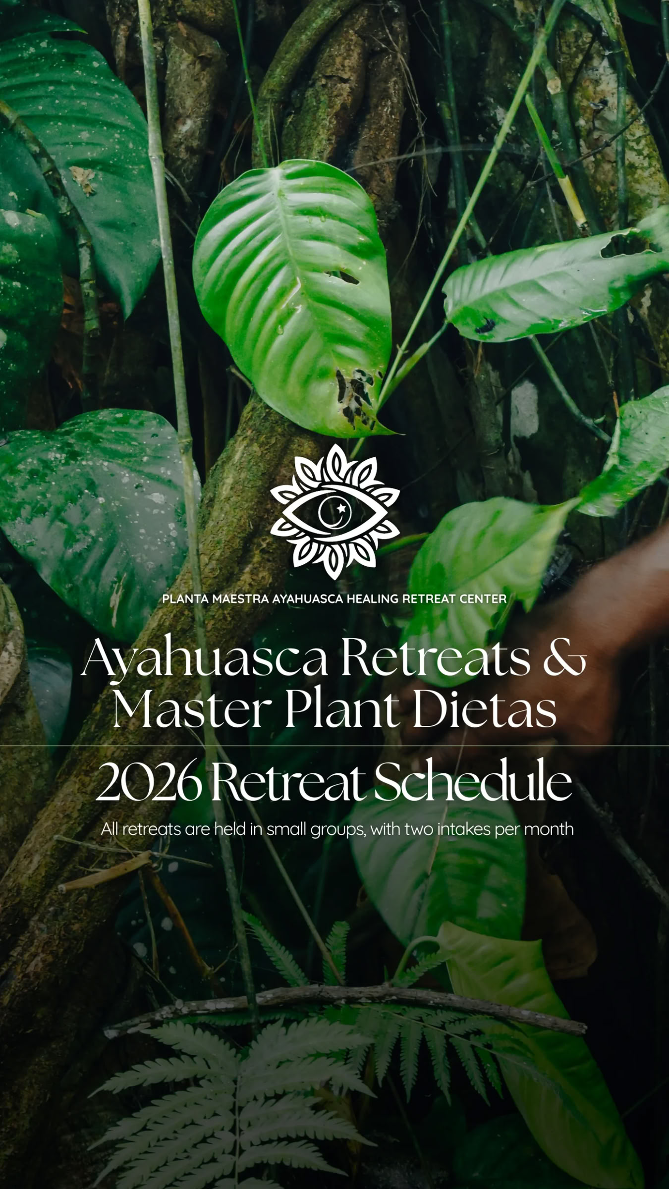 10-Day Ayahuasca Journey + Master Plant Dieta