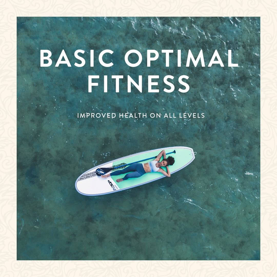 Basic Optimal Fitness