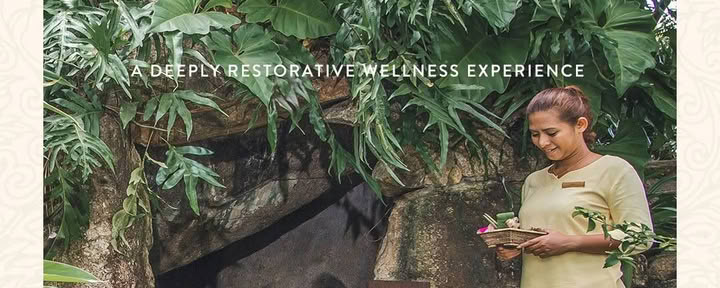 Wellbeing Sabbatical