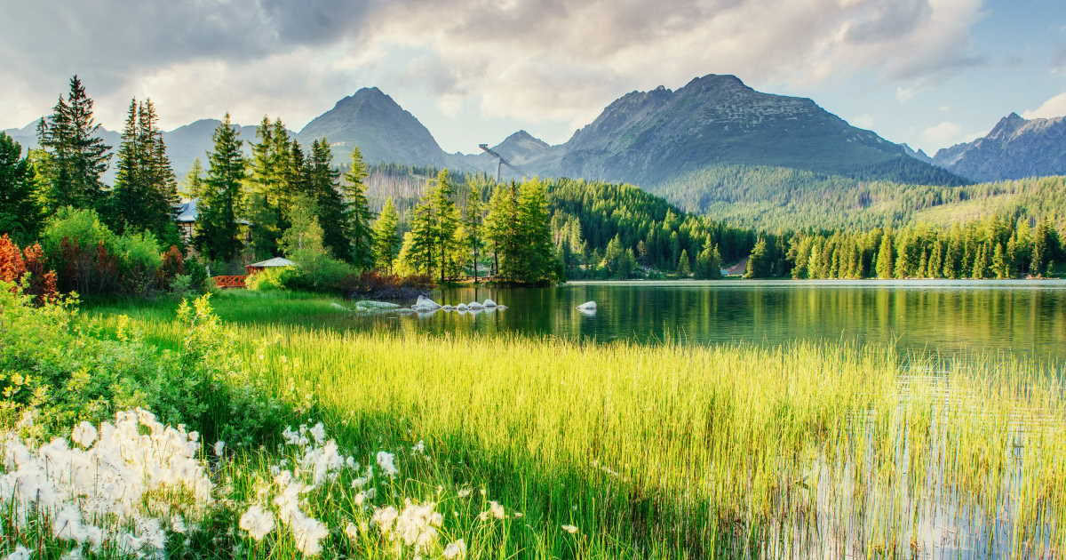 Wellness Retreat Slovakia – Summer