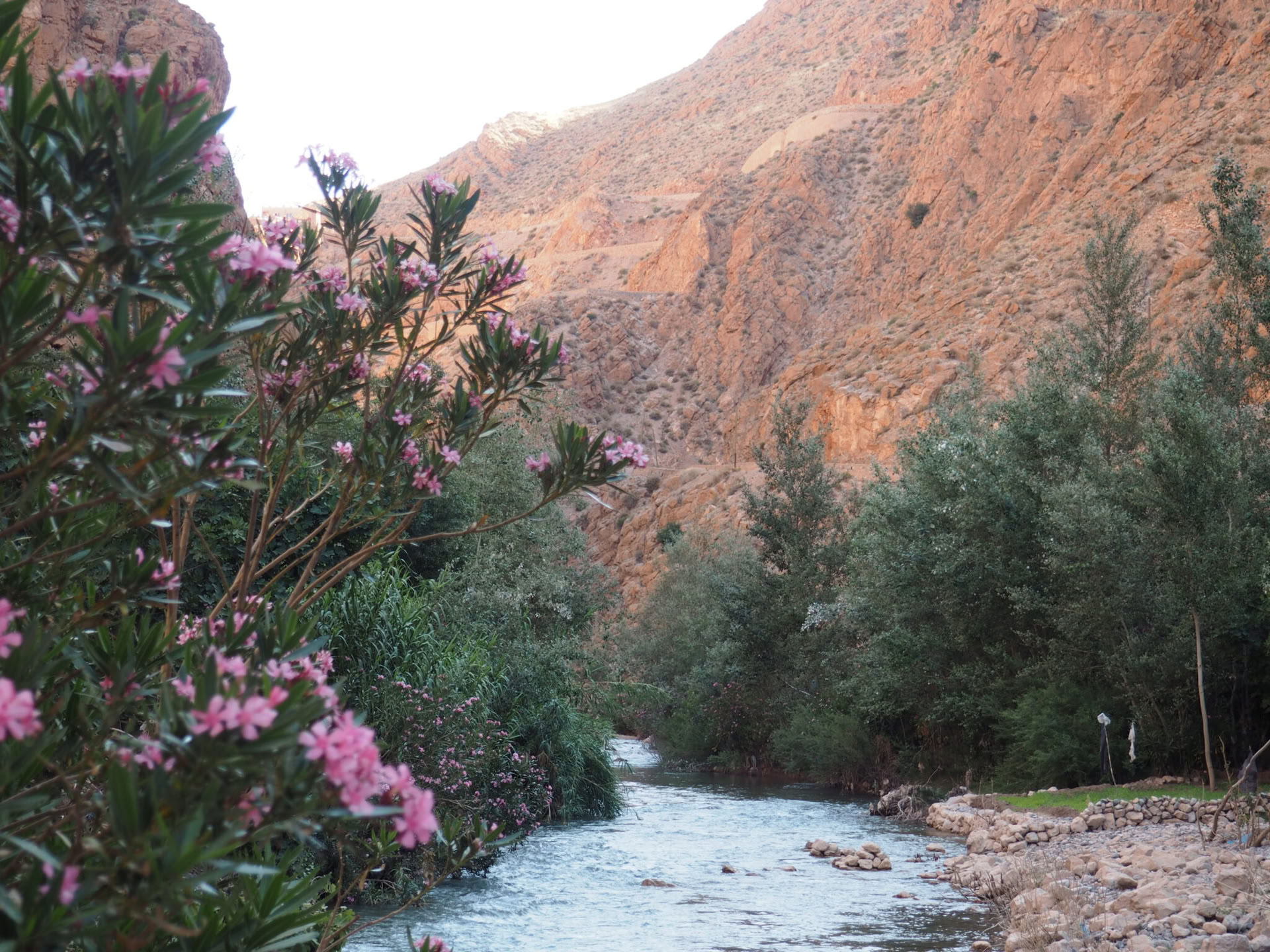 Kultur-Retreat in the Atlas Mountains