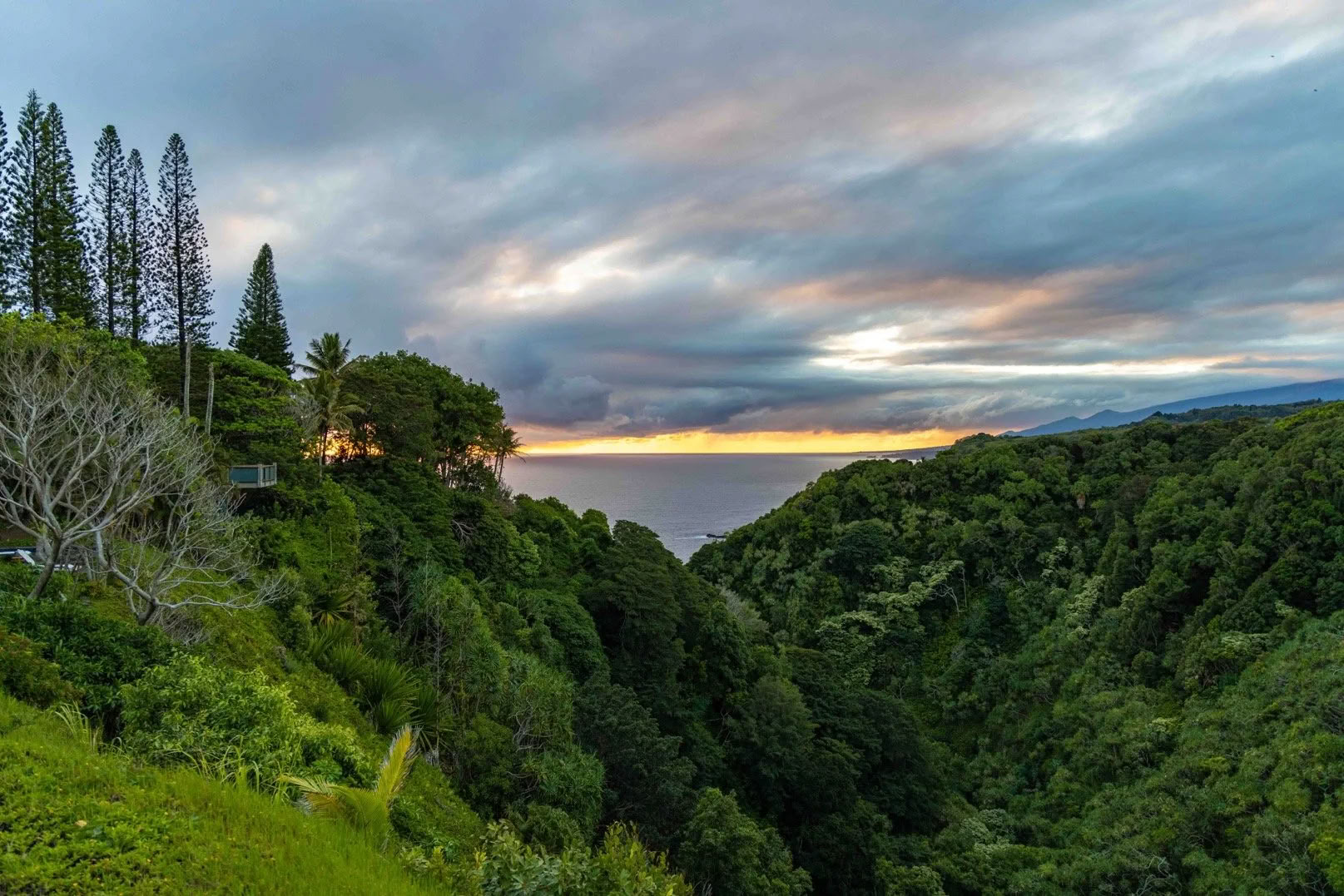 Get Your Sh*t Together Retreat - Maui