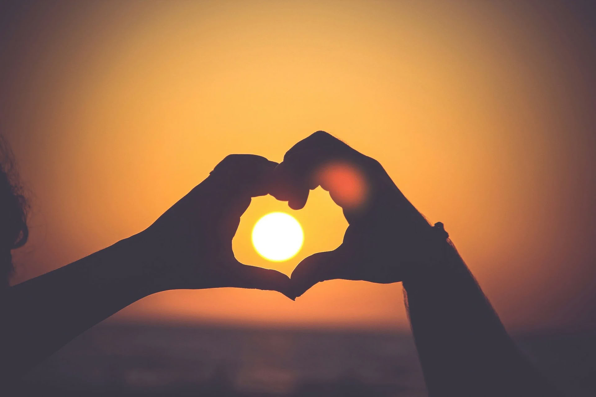 Get Your Sh*t Together - For Partners