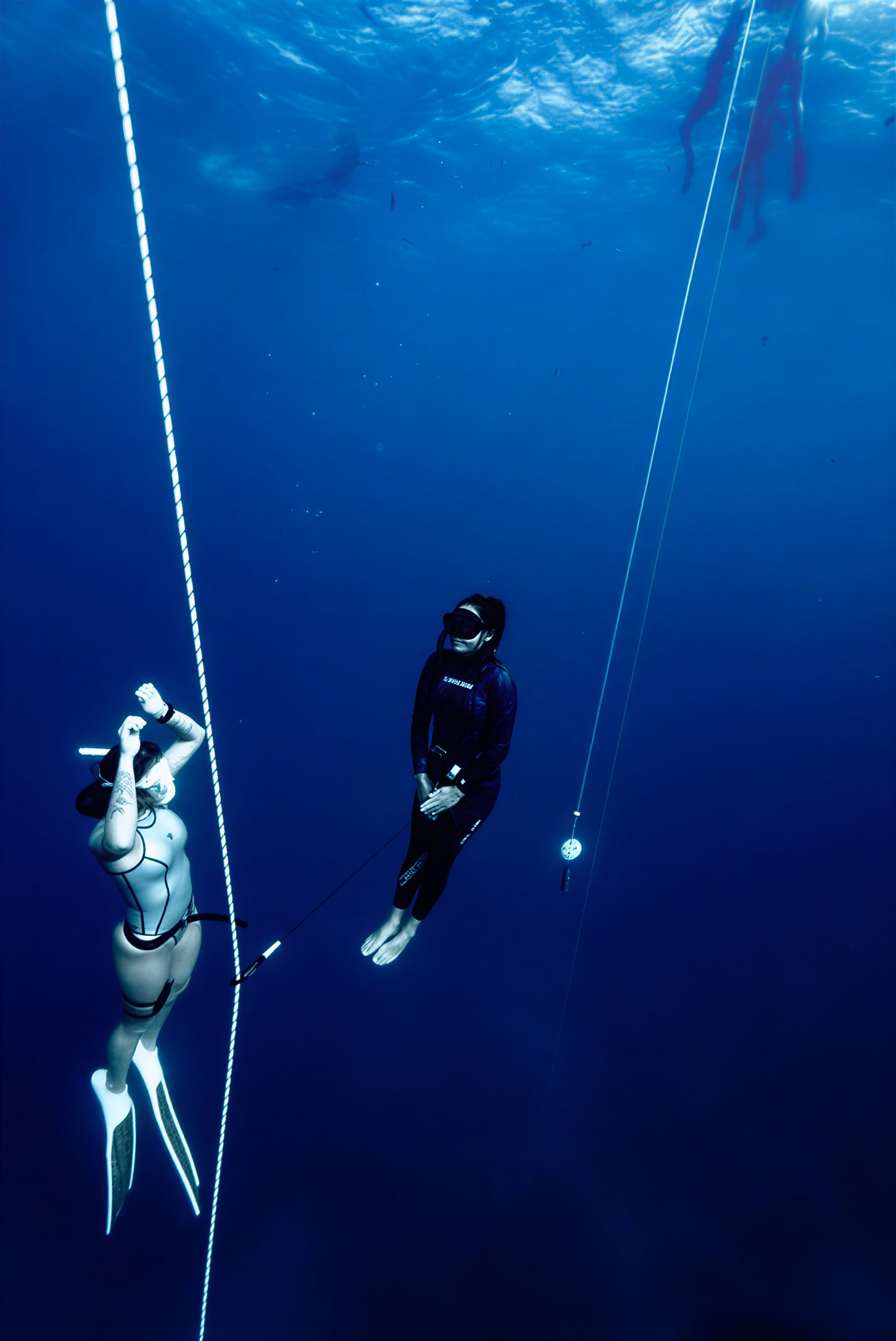 DIVE + REVIVE + THRIVE | FREEDIVING | BREATH | MINDSET