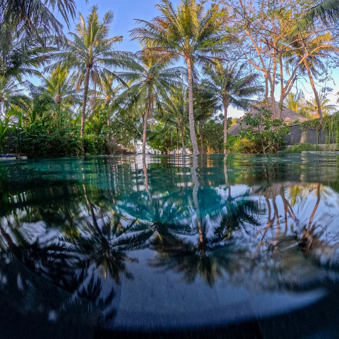 DIVE + REVIVE + THRIVE | FREEDIVING | BREATH | MINDSET
