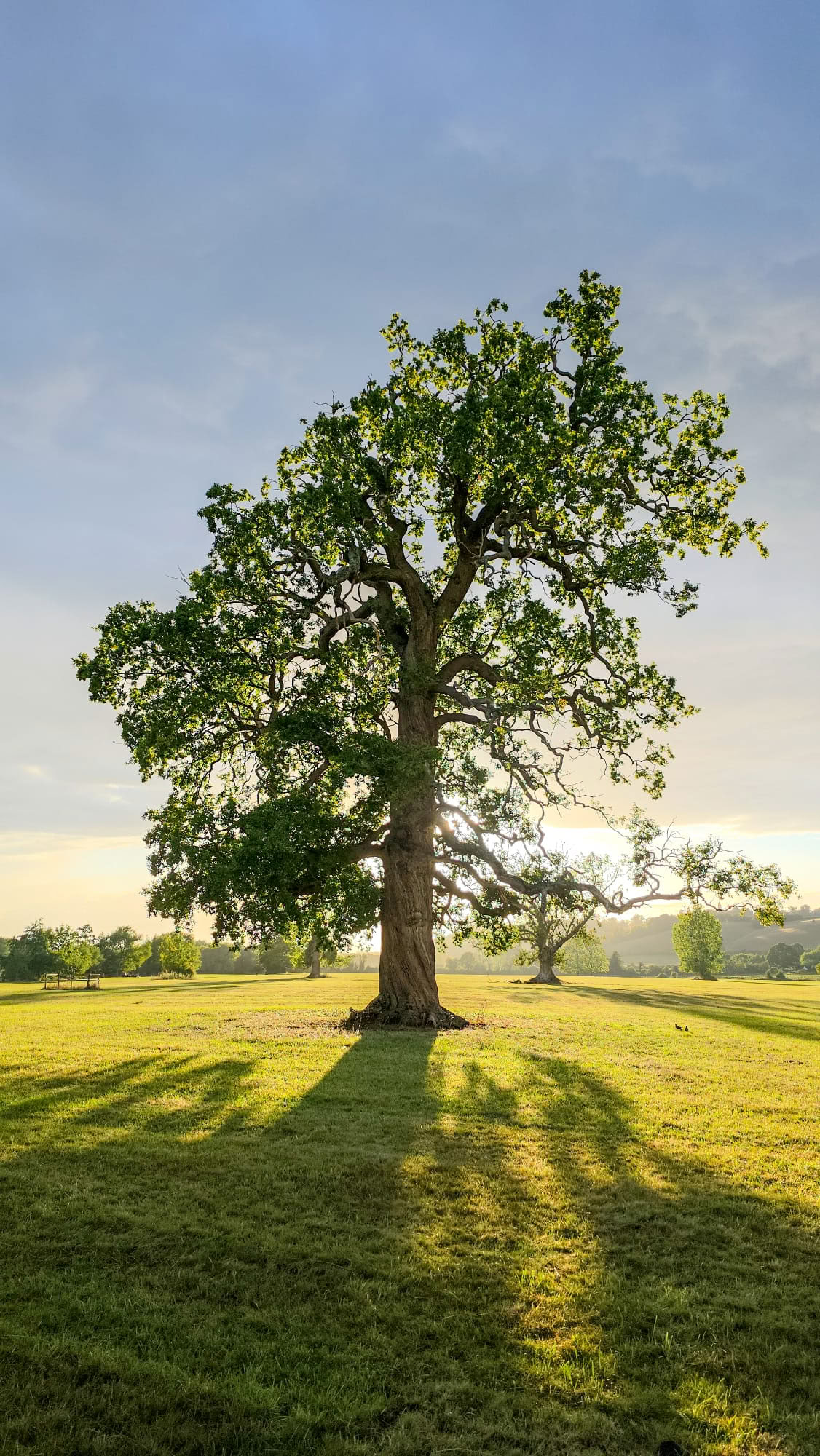Vipassana Insight Meditation Retreat – 25th-31st May