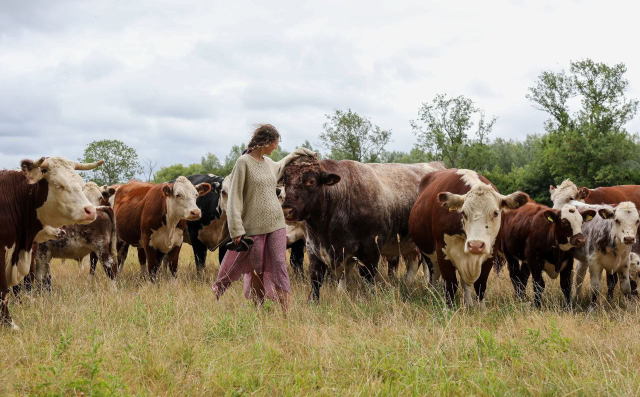 Natural Flow ༄ Yoga Retreat 2026