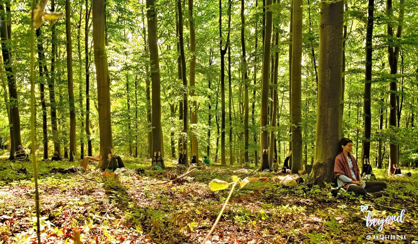 Natural Flow ༄ Yoga Retreat 2026