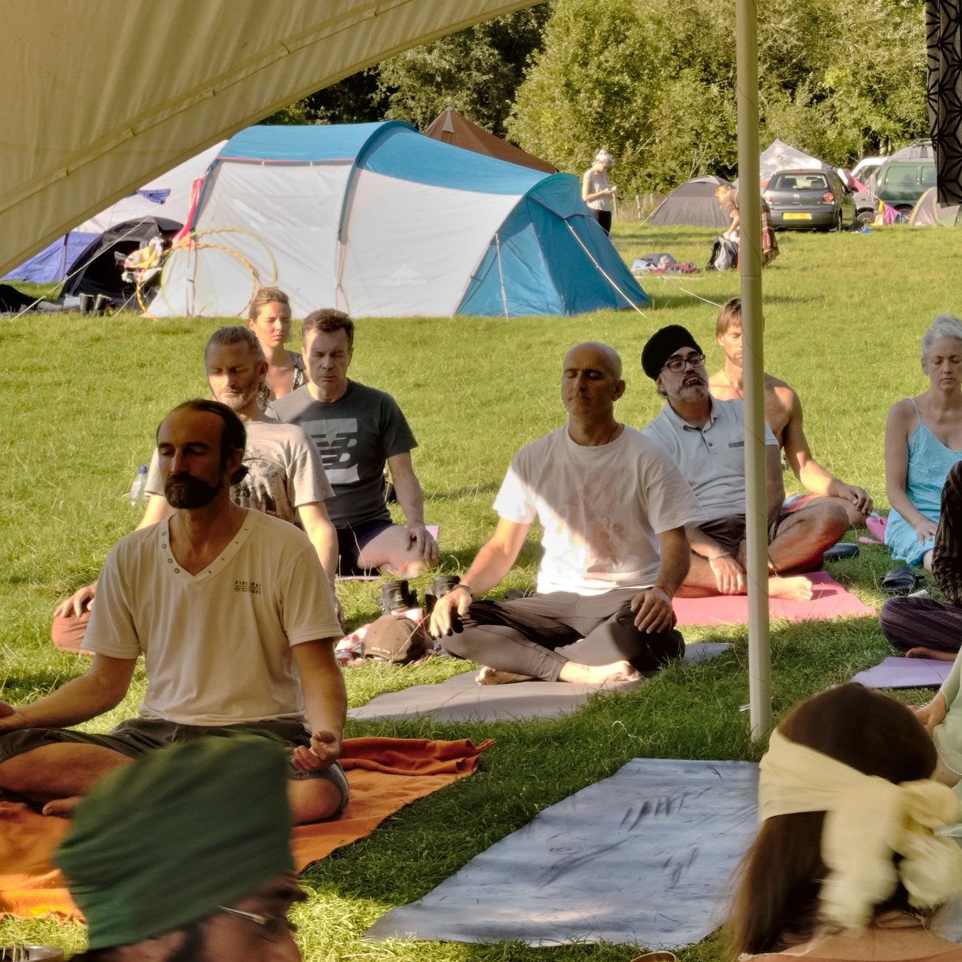 Reset and Restore Monthly Wellbeing Club – 4th July, 2026 - Forest Bathing: Summer Cathedral of Trees