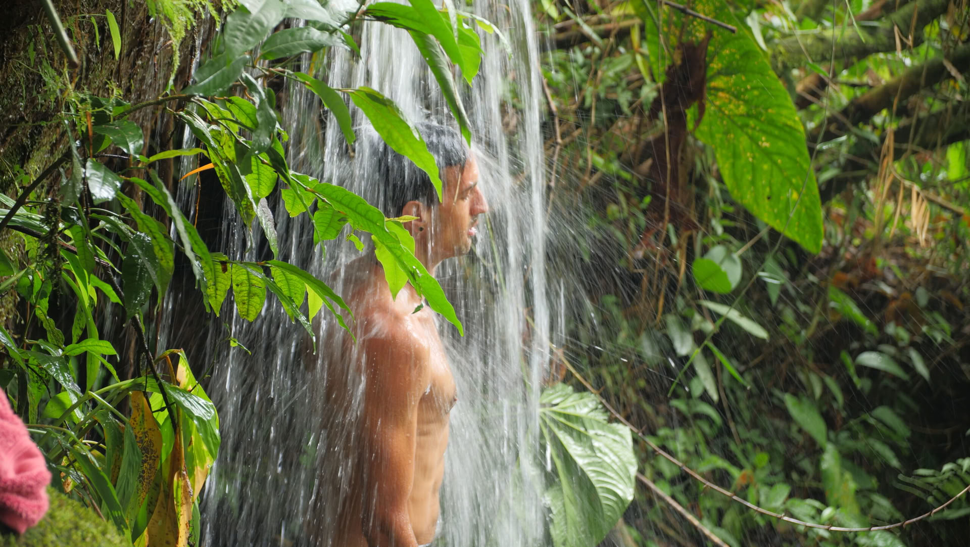 Ayahuasca & Somatic Journey