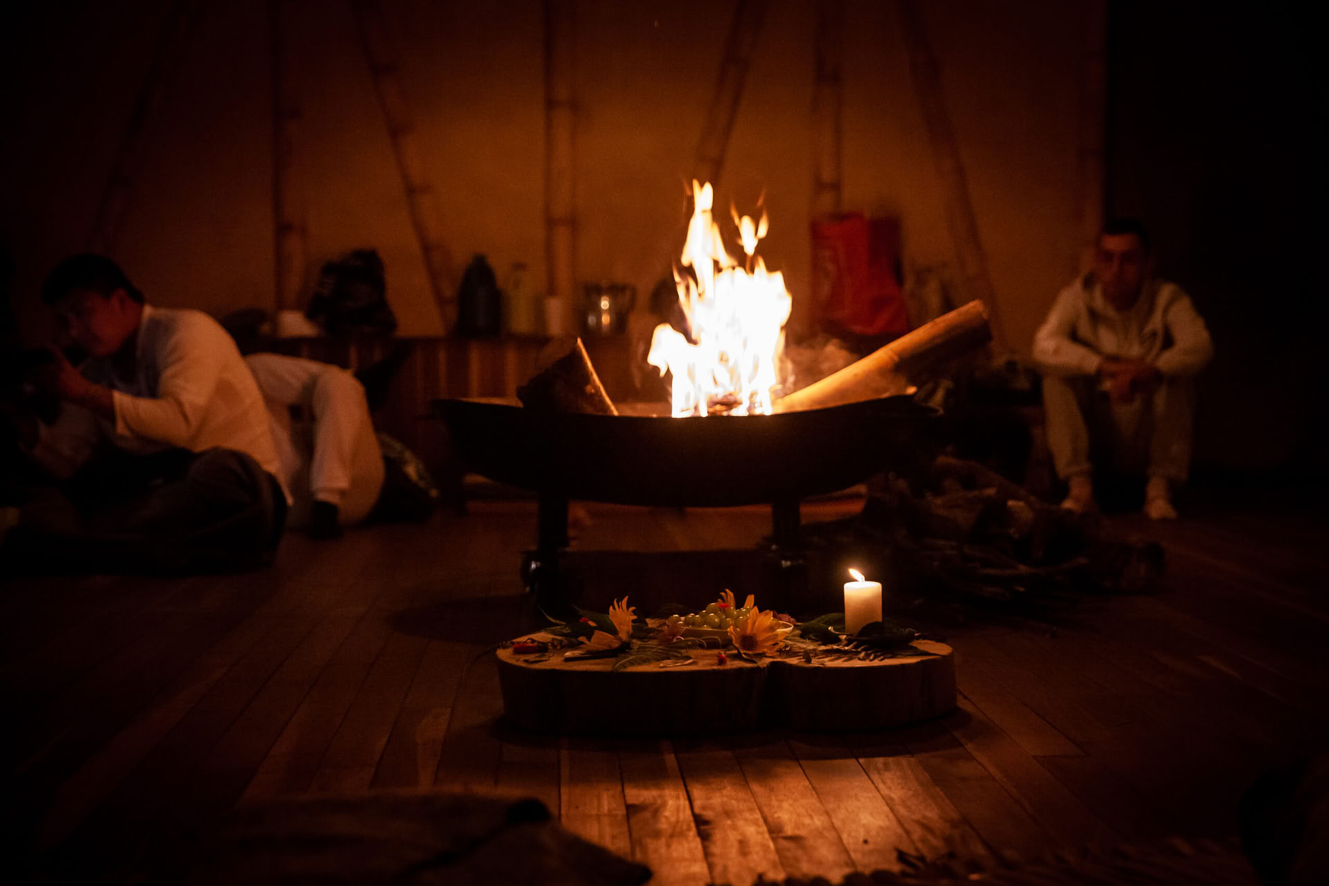 Ayahuasca & Somatic Journey