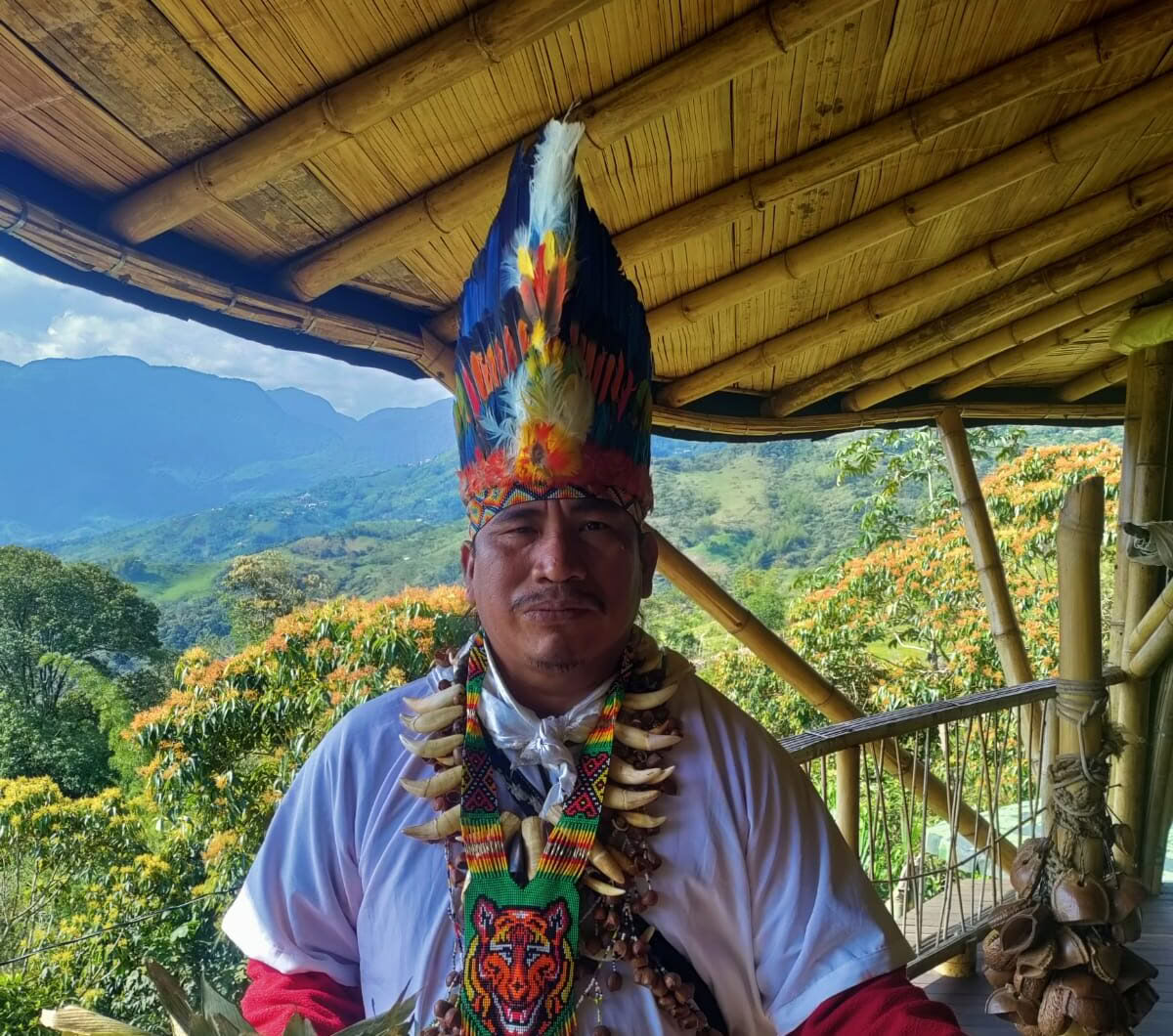 Ayahuasca & Somatic Journey