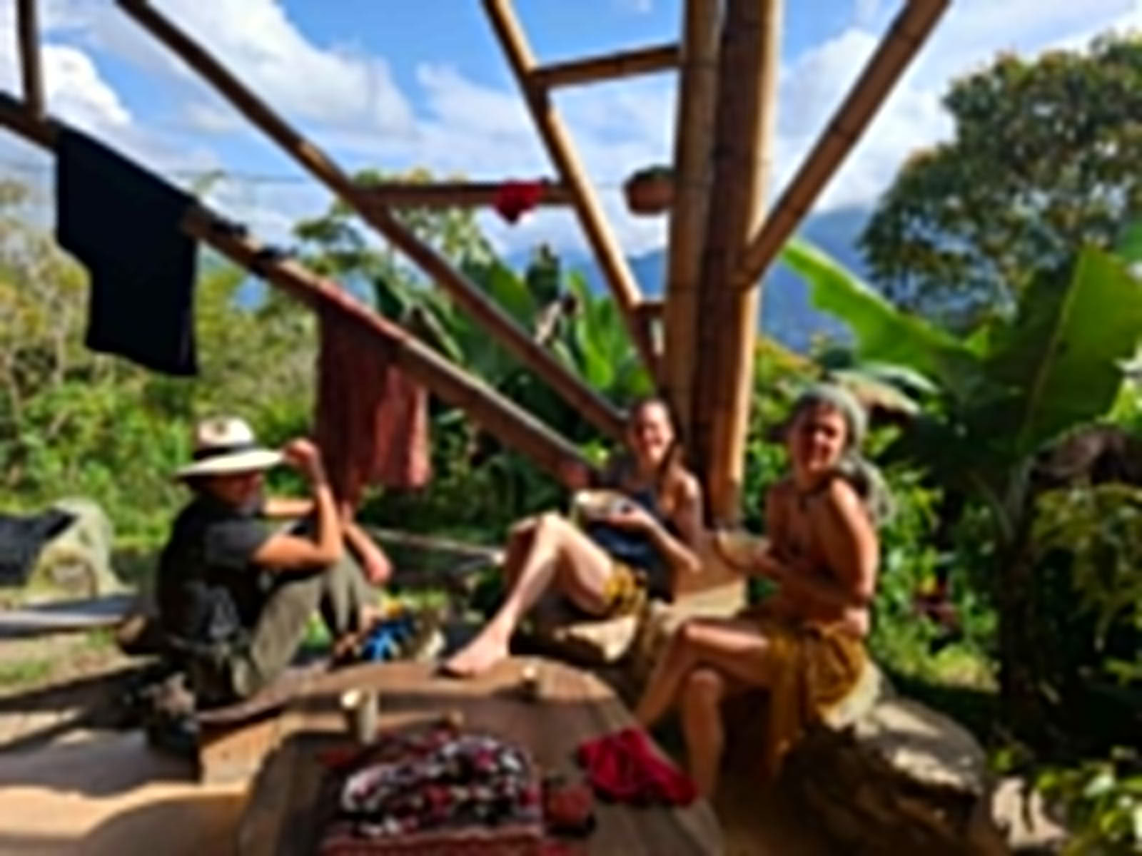 Ayahuasca & Somatic Journey