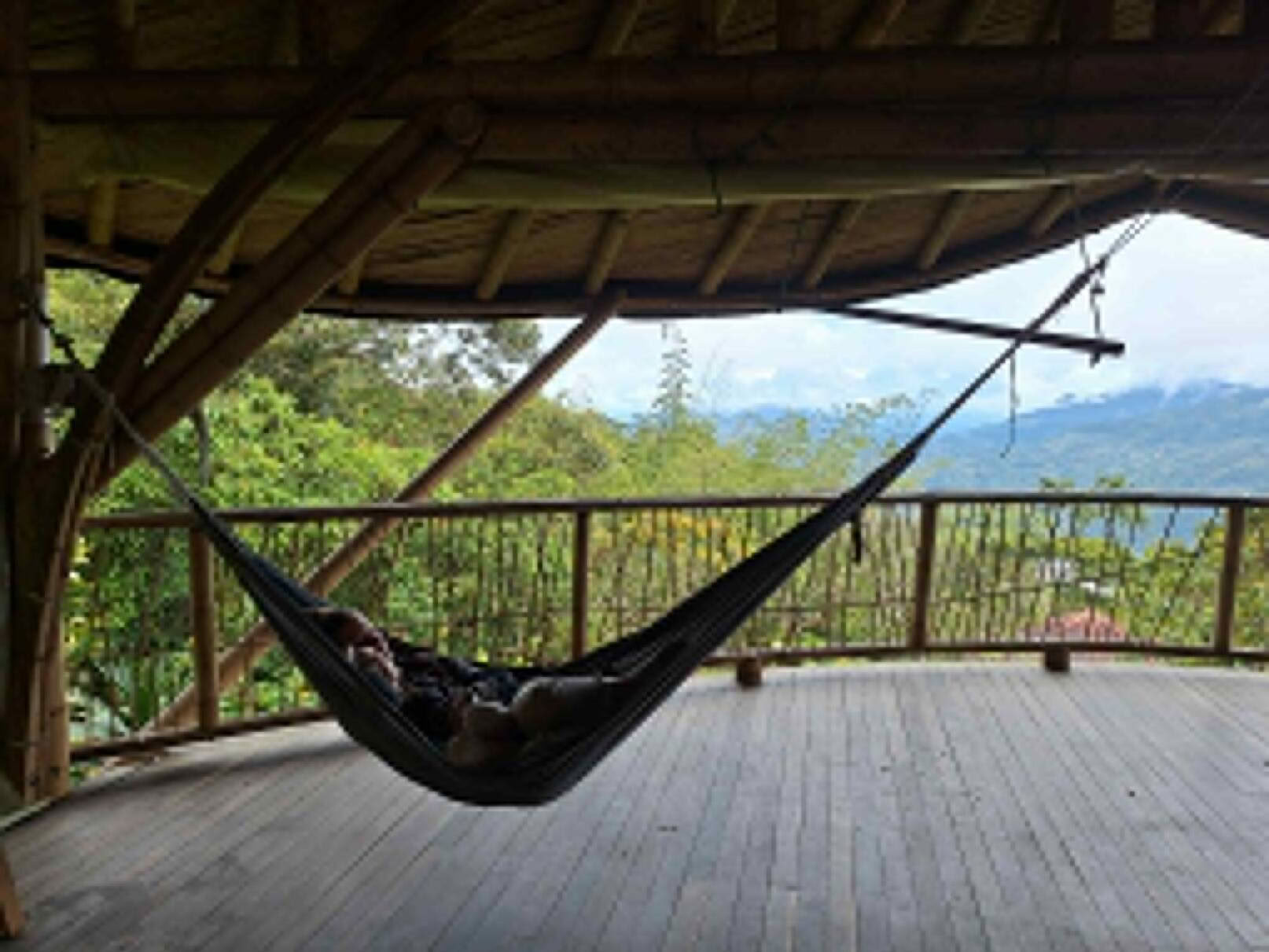 Ayahuasca & Somatic Journey