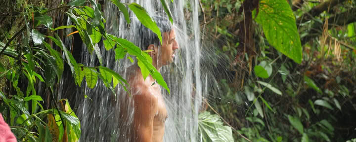 Ayahuasca & Somatic Journey