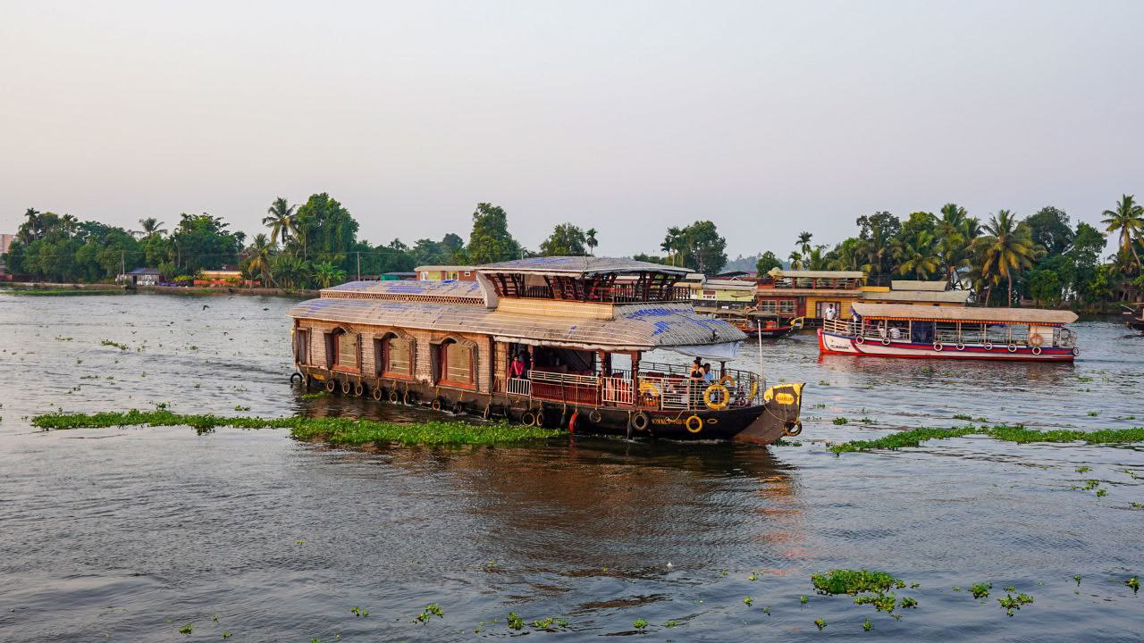 Ultimate Ayurvedic Detox | A Journey of Healing and Renewal in Kerala