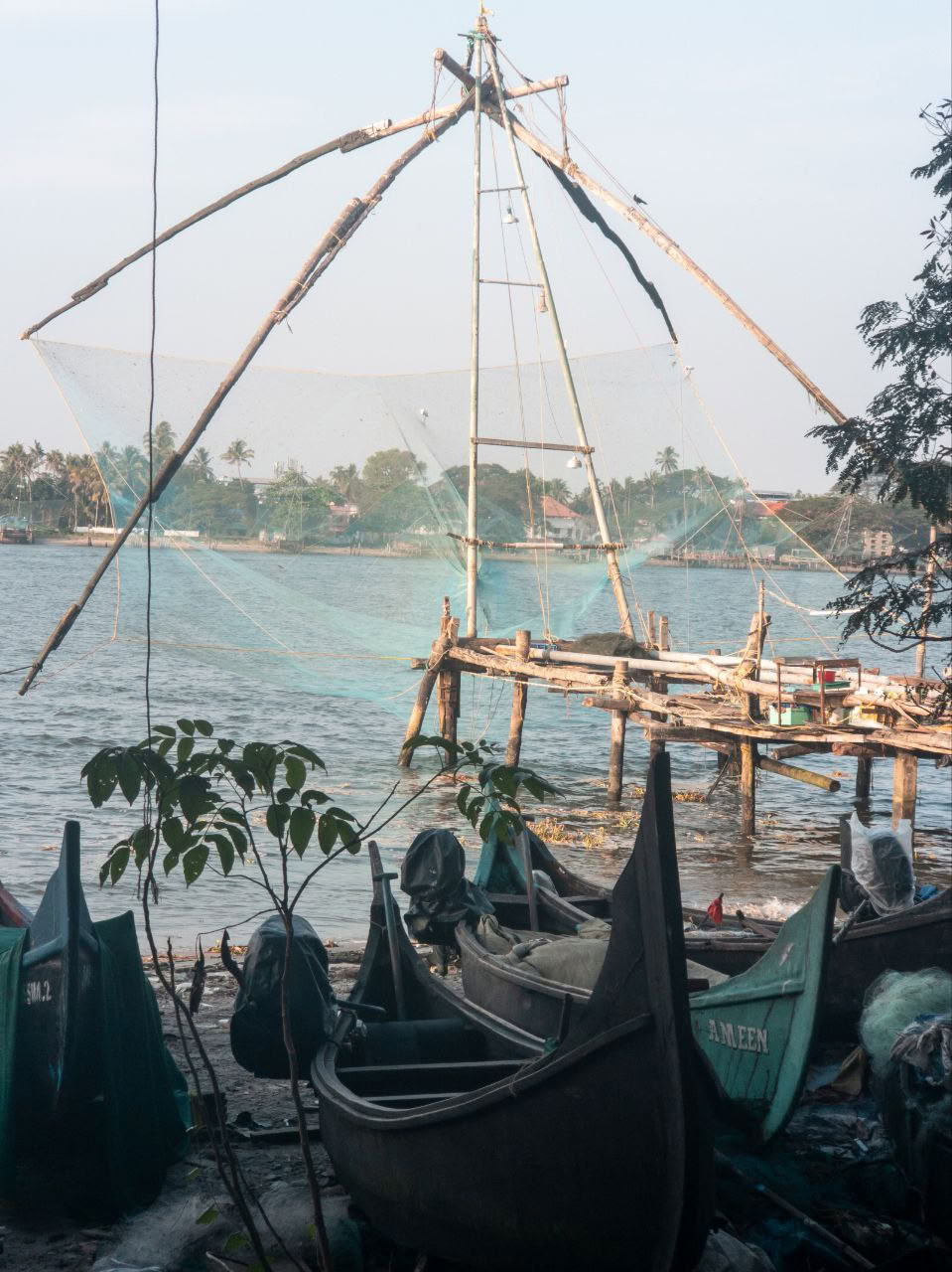 Ultimate Ayurvedic Detox | A Journey of Healing and Renewal in Kerala