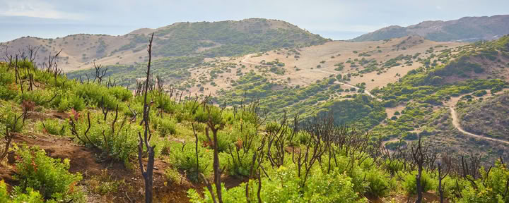 Kenyan Yoga and Safari Retreat Rooms