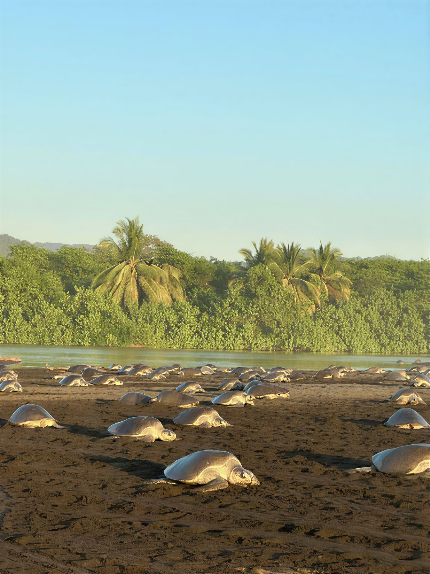 The Seven Chakras Yoga + Surf Retreat