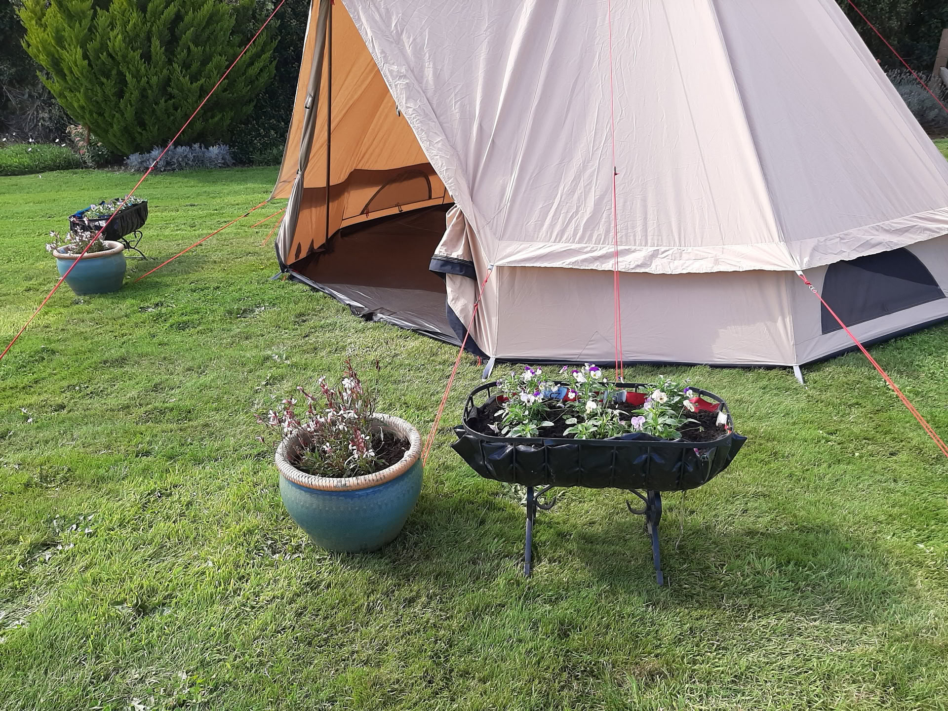 Friday 16th July - Healing tent experience for two