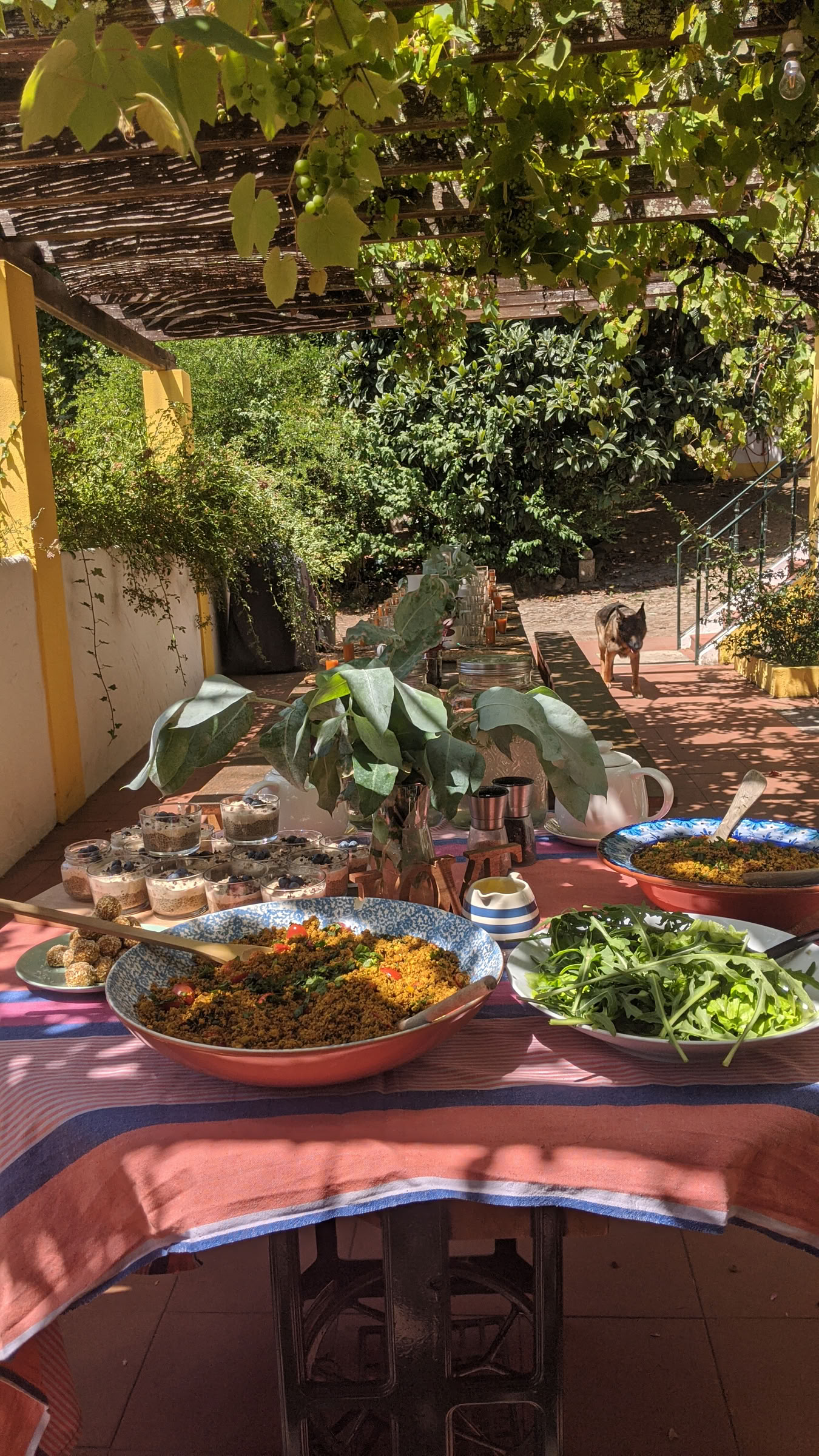 SATORI RETREAT