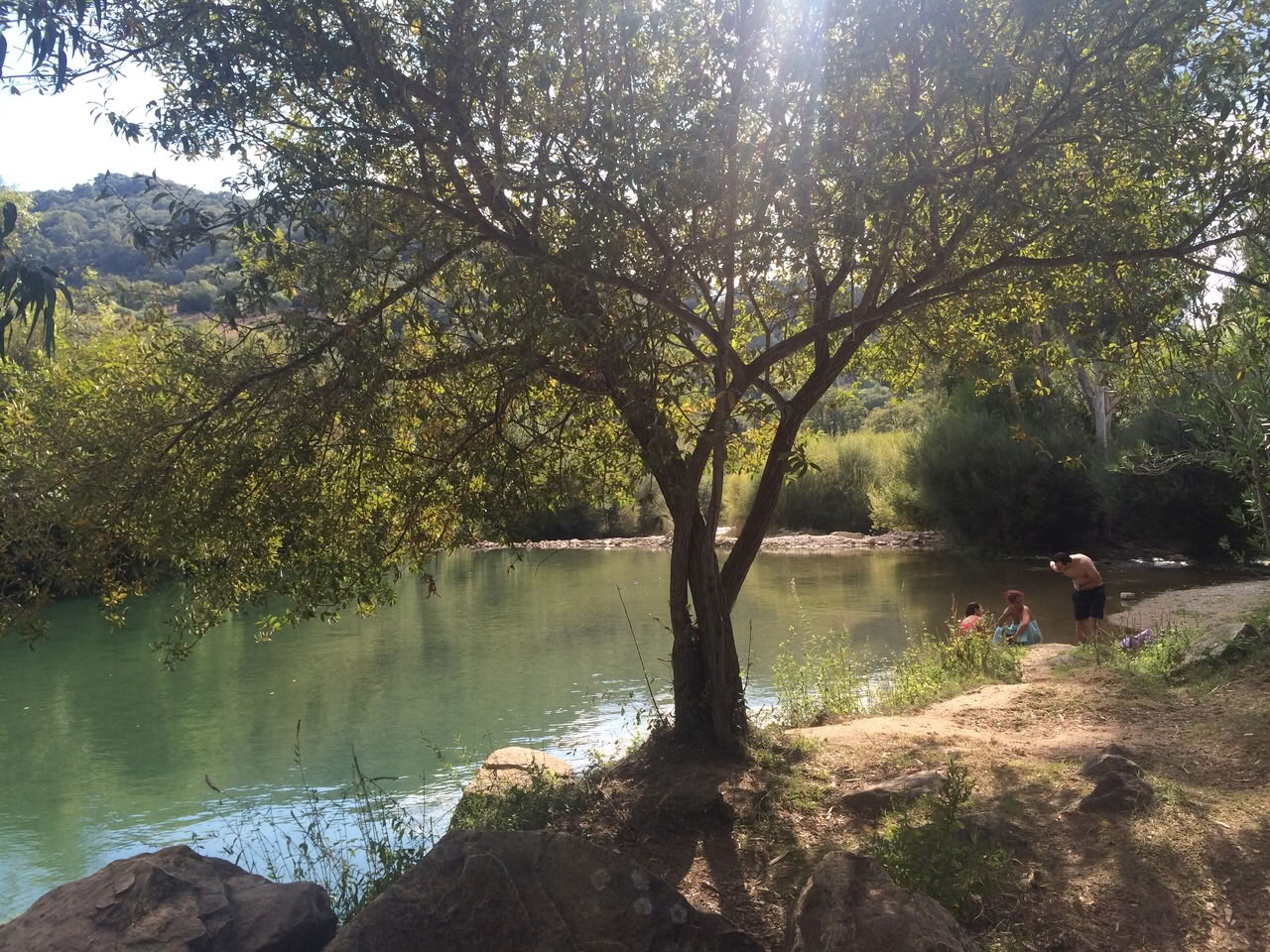 Shamanic Breathwork Training (Level 1)