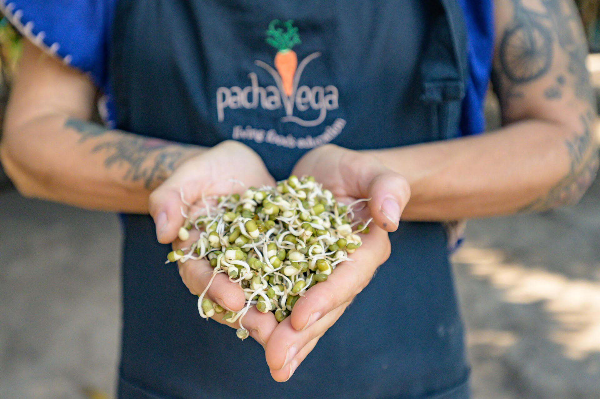 1-month raw food chef residency program