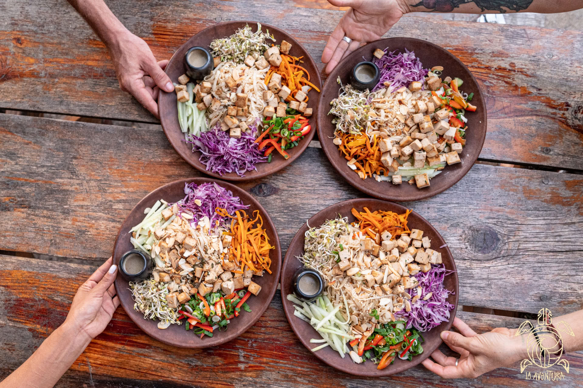 1-month raw food chef residency program