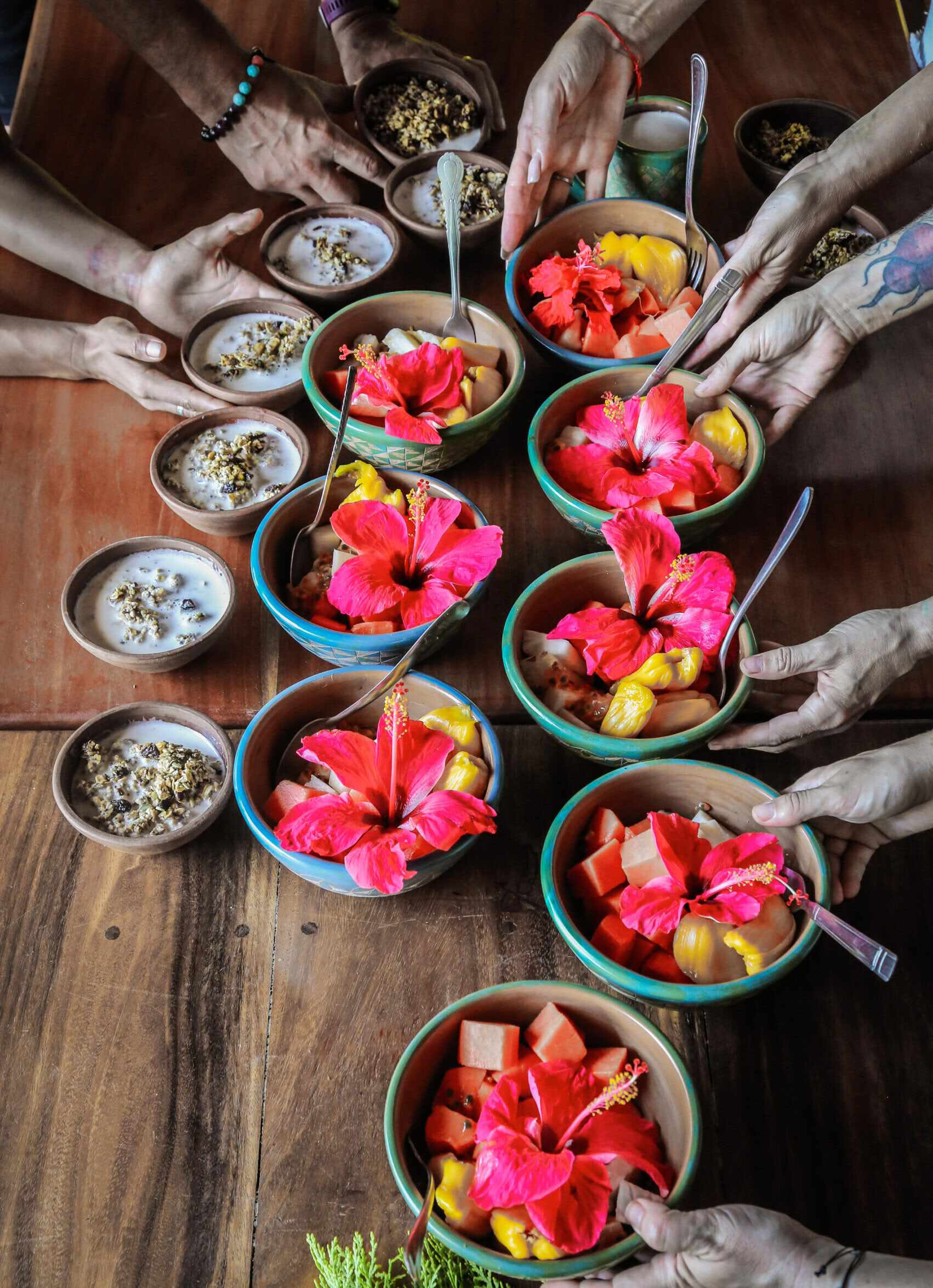 1-month raw food chef residency program