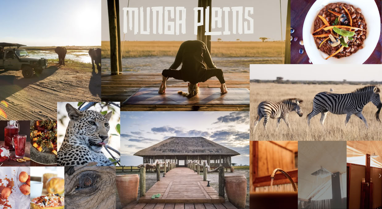 Funkydoor Hot Yoga Retreat