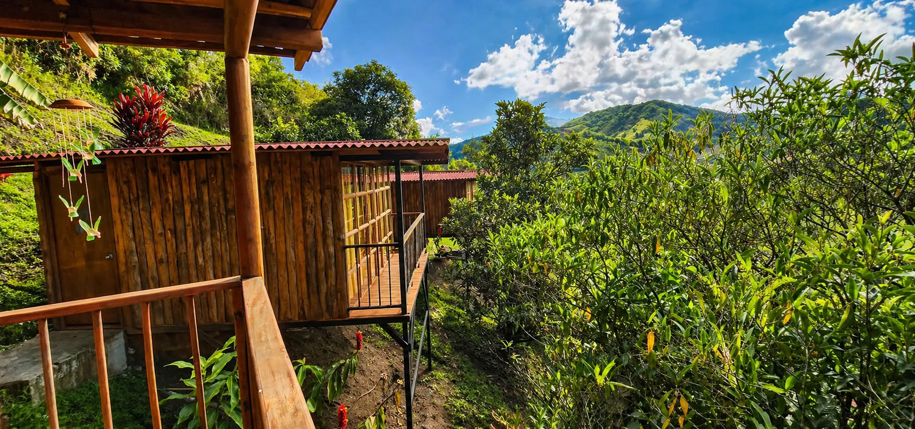 October 2026 Ayahuasca Retreat in Medellín
