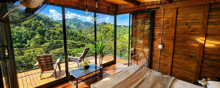 September 2026 Ayahuasca Retreat in Medellín