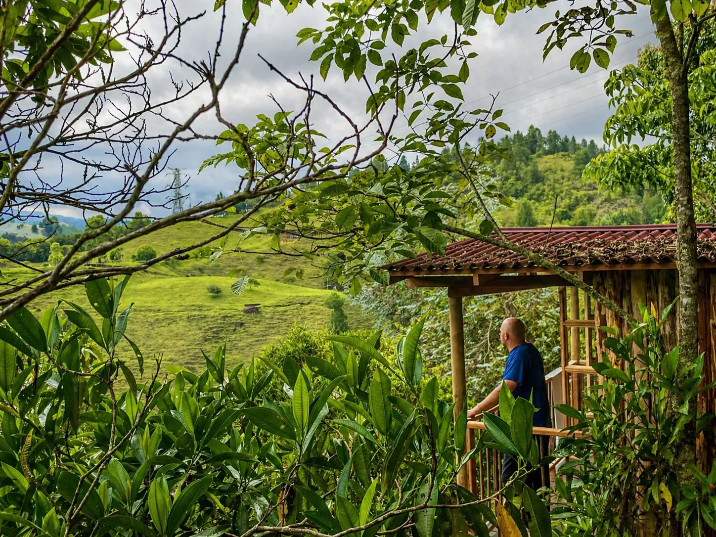 July 2026 Ayahuasca Retreat in Medellín