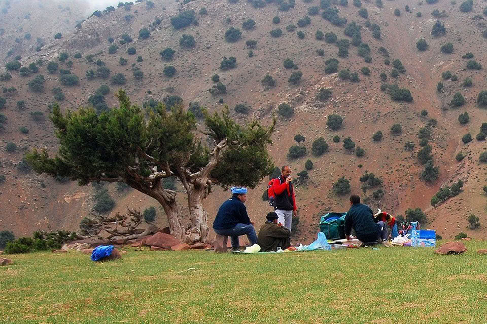 Mountain Yoga Retreat