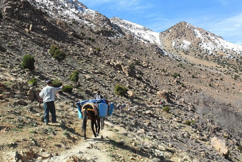 Mountain Yoga Retreat