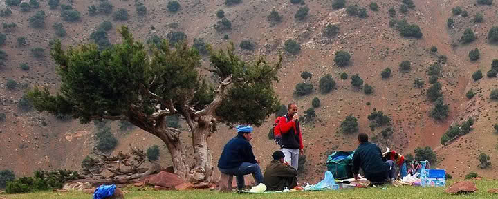 Mountain Yoga Retreat