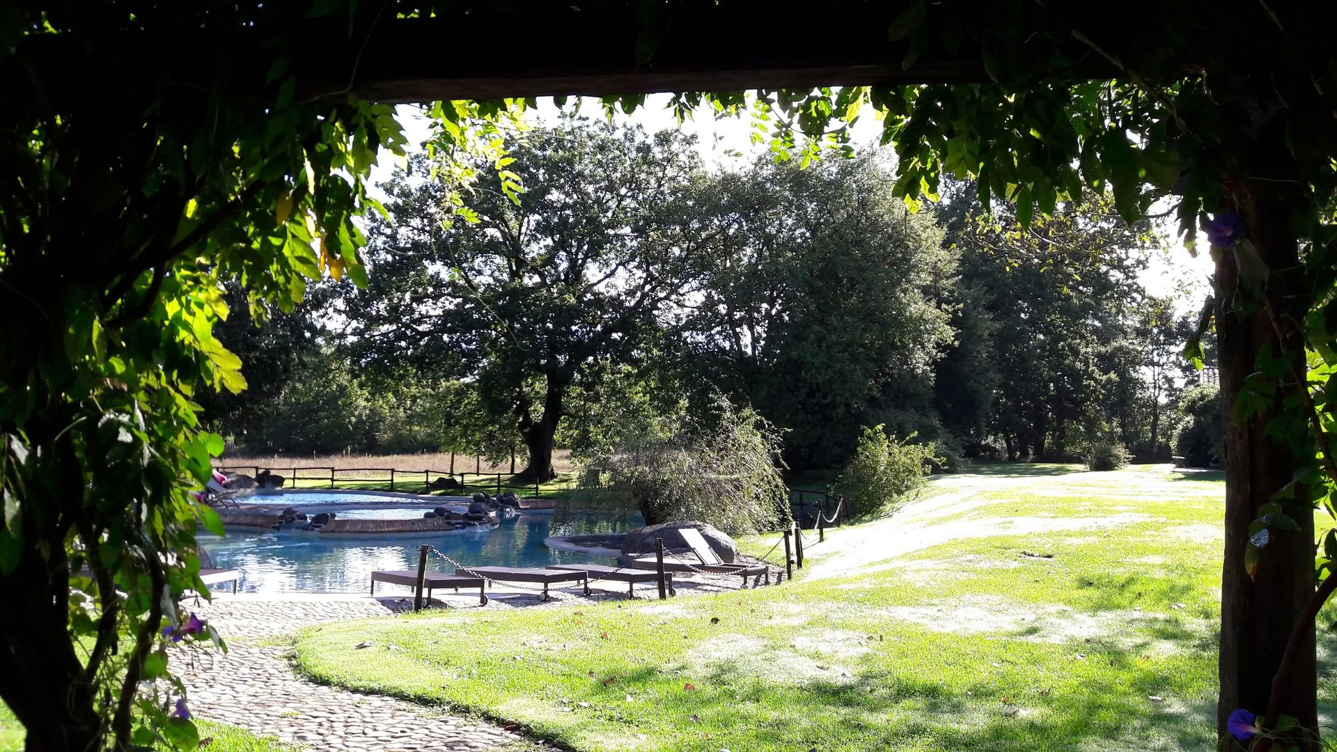 Italy Yoga Retreat — Level 3 Iyengar Yoga Teacher Rachel Lovegrove