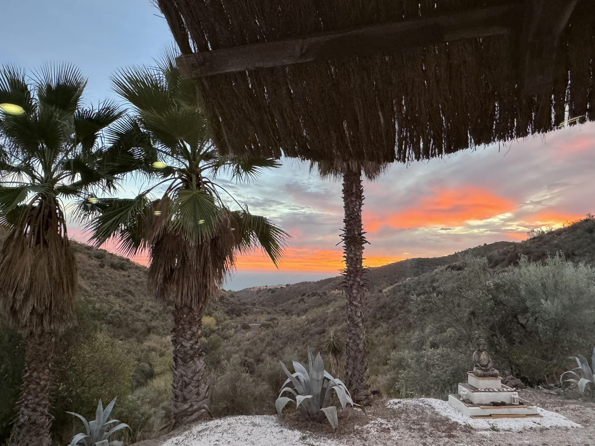 Spain Yoga Retreat - All Levels Welcome — Level 3 Iyengar Yoga Teacher Rachel Lovegrove