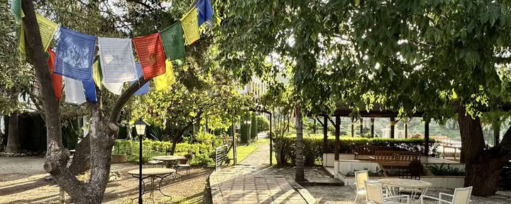 Spain Yoga Retreat - Improvers Level — Level 3 Iyengar Yoga Teacher Rachel Lovegrove