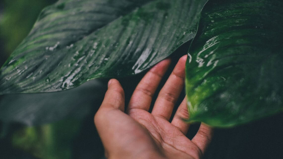 Introduction to mindfulness Meditation
