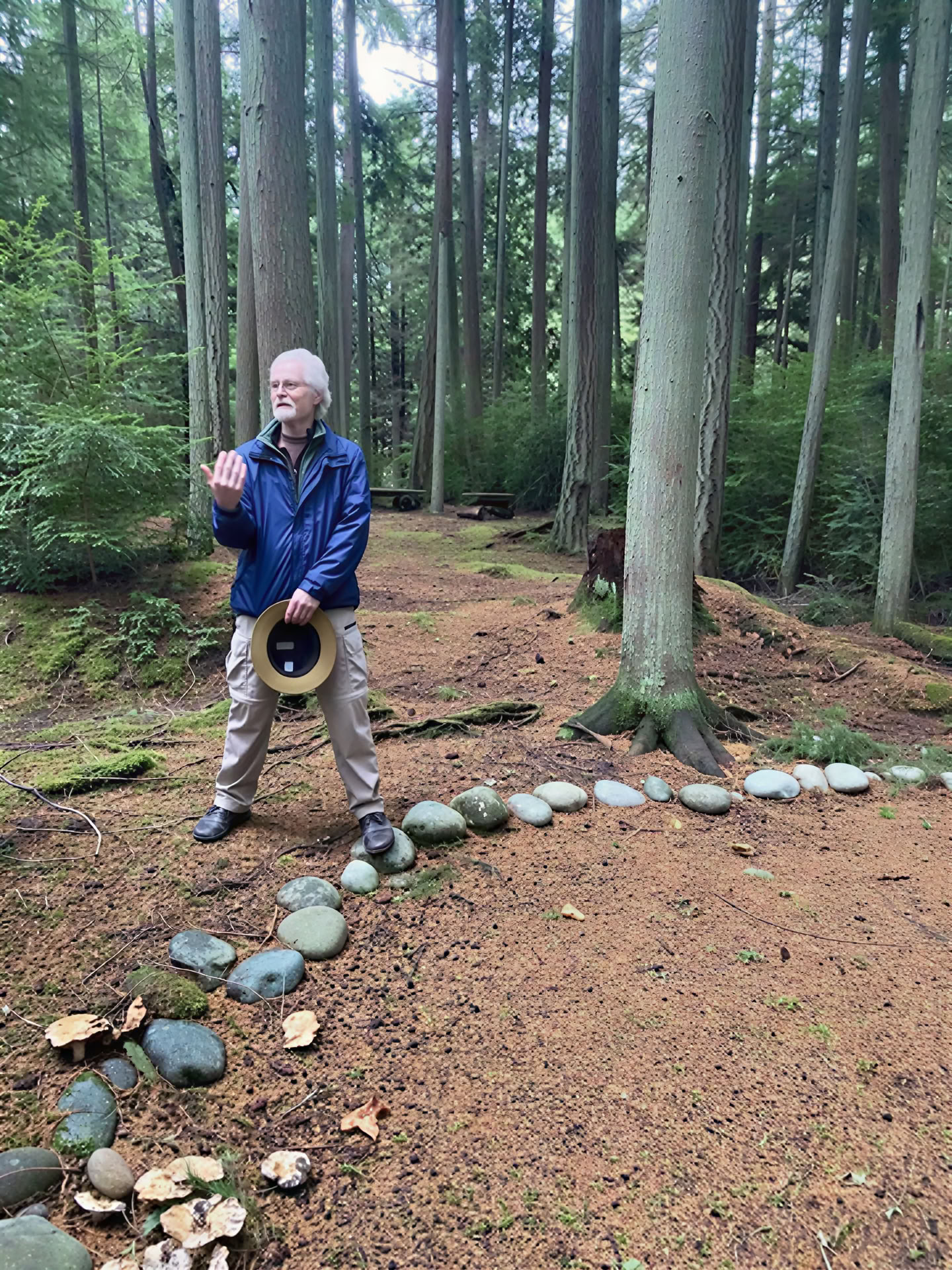 Forest Experience