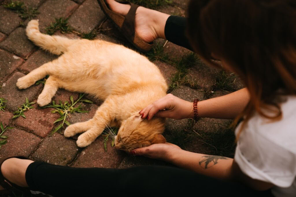 Retreat Week: Attachment and Developmental Trauma
