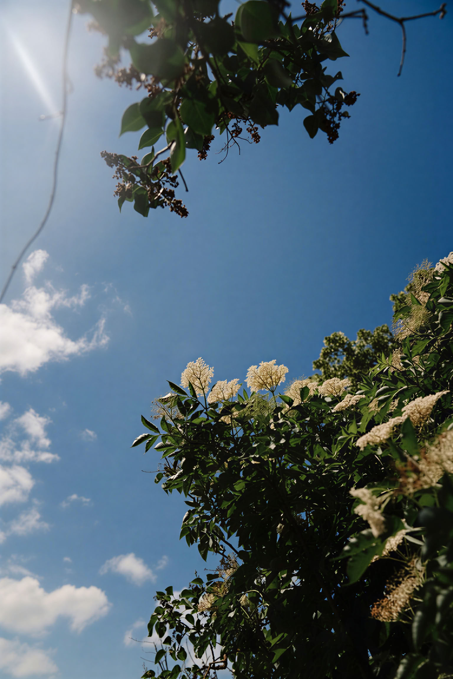 Retreat Week: Attachment and Developmental Trauma