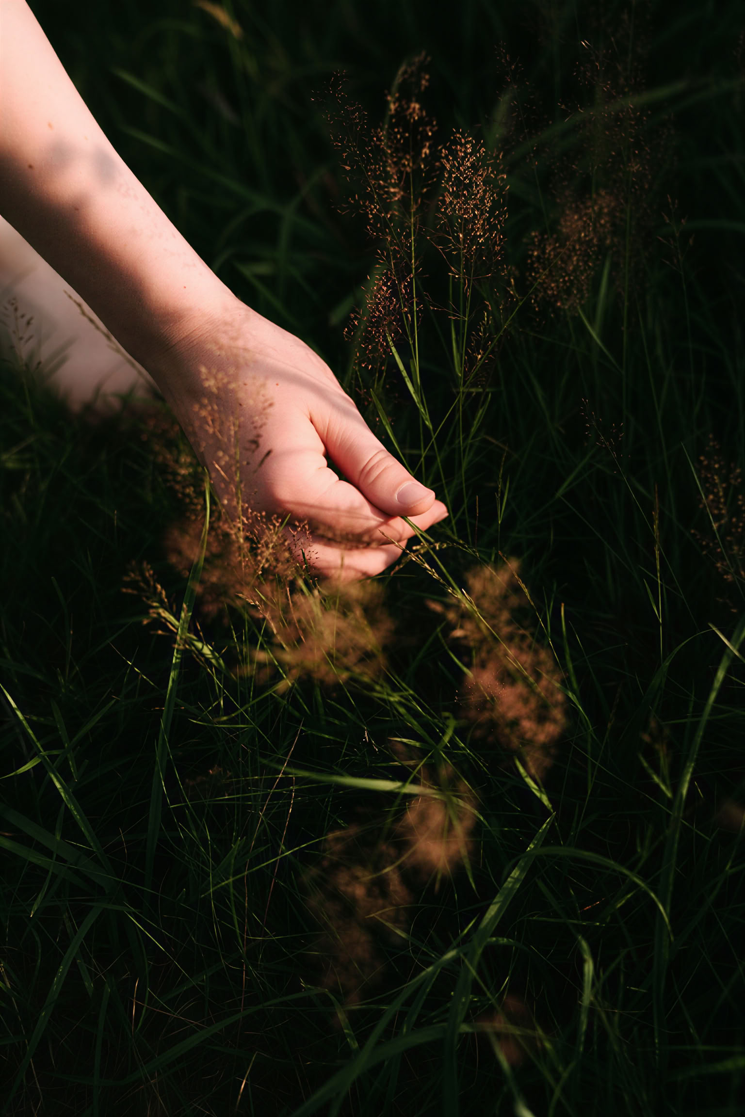 Retreat Week: Attachment and Developmental Trauma