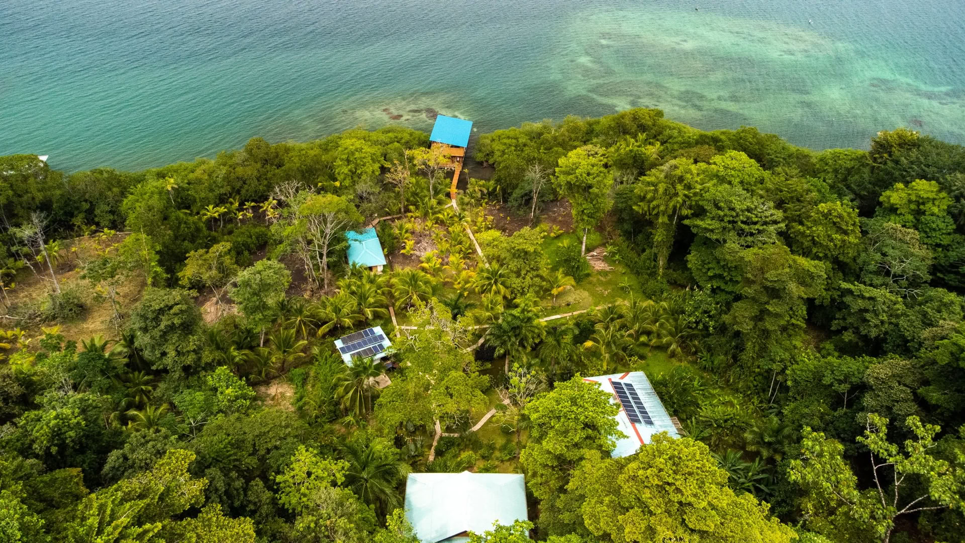 crecer y Florecer: a Roam Yoga & Wellness Retreat