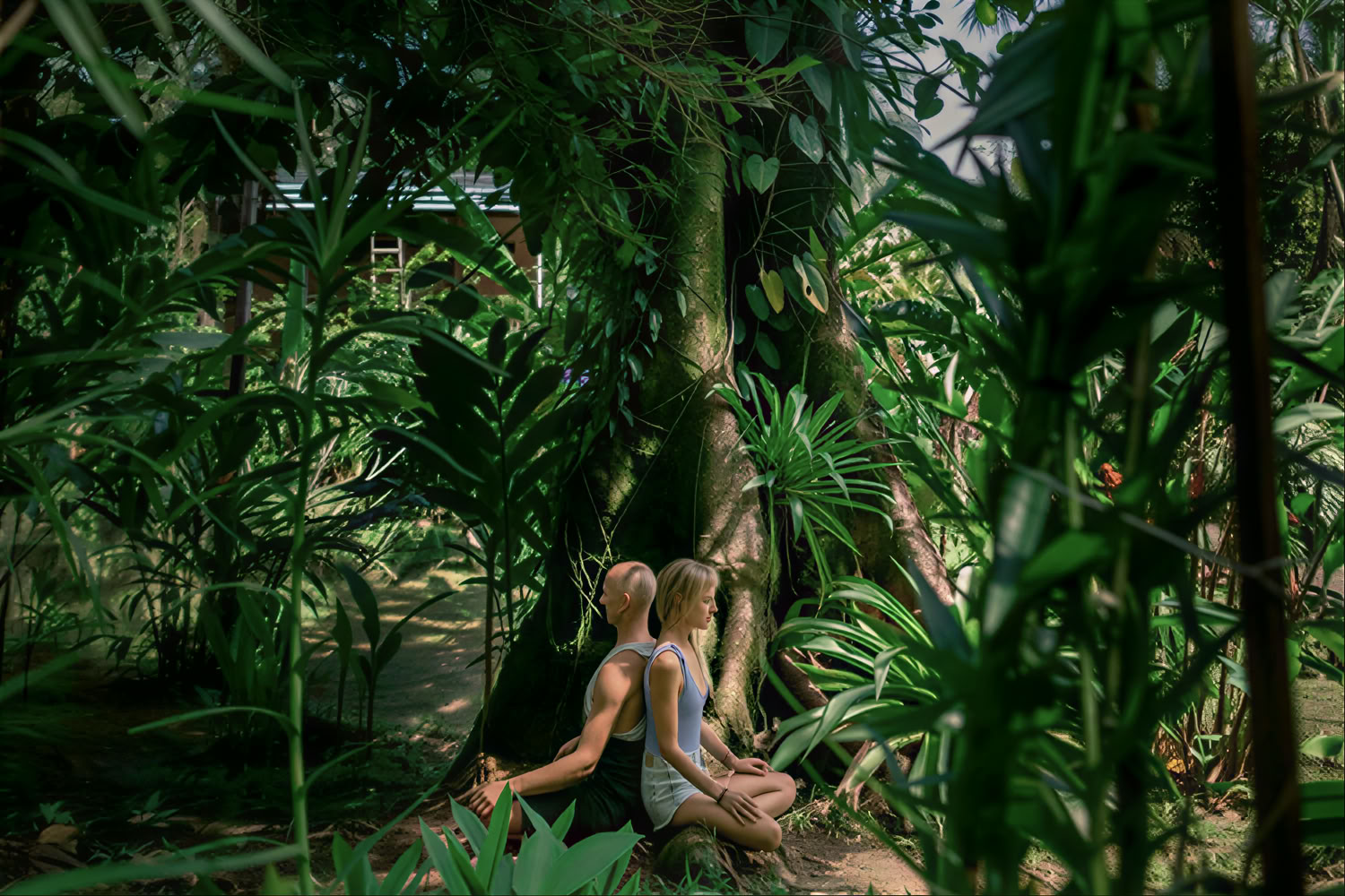 200Hr Teacher Training — ROAM Yoga & Wellness